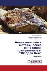 Аналитические и методические инновации, применяемые в ТОО "Два Кей"