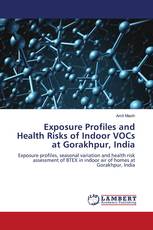 Exposure Profiles and Health Risks of Indoor VOCs at Gorakhpur, India