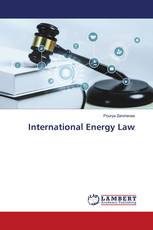 International Energy Law