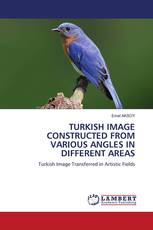 TURKISH IMAGE CONSTRUCTED FROM VARIOUS ANGLES IN DIFFERENT AREAS