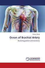 Ocean of Brachial Artery