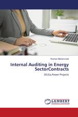 Internal Auditing in Energy SectorContracts
