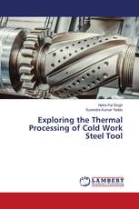 Exploring the Thermal Processing of Cold Work Steel Tool