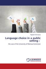 Language choice in a public setting :
