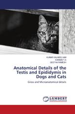 Anatomical Details of the Testis and Epididymis in Dogs and Cats