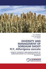 DIVERSITY AND MANAGEMENT OF SORGHUM SHOOT FLY, Atherigona soccata
