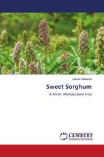 Sweet Sorghum