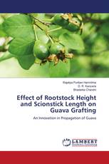 Effect of Rootstock Height and Scionstick Length on Guava Grafting