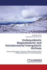 Endosymbiotic Magnetotactic and Extraterrestrial Intergalactic Archaea