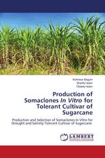 Production of Somaclones In Vitro for Tolerant Cultivar of Sugarcane