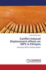 Conflict Induced Displacement effects on IDPS in Ethiopia