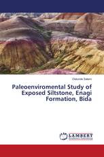 Paleoenviromental Study of Exposed Siltstone, Enagi Formation, Bida