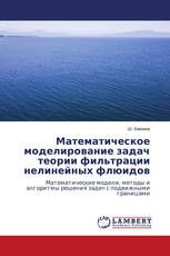 Математическое моделирование задач теории фильтрации нелинейных флюидов