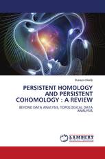 PERSISTENT HOMOLOGY AND PERSISTENT COHOMOLOGY : A REVIEW