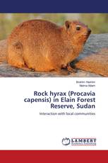 Rock hyrax (Procavia capensis) in Elain Forest Reserve, Sudan