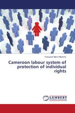 Cameroon labour system of protection of individual rights