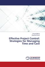 Effective Project Control: Strategies for Managing Time and Cost