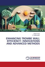 ENHANCING TROMBE WALL EFFICIENCY: INNOVATIONS AND ADVANCED METHODS