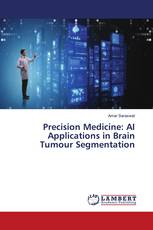 Precision Medicine: AI Applications in Brain Tumour Segmentation
