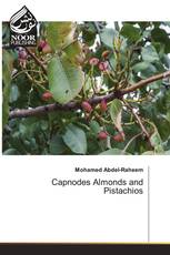 Capnodes Almonds and Pistachios