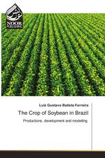 The Crop of Soybean in Brazil