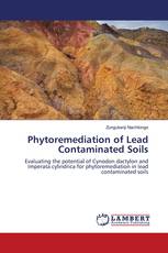 Phytoremediation of Lead Contaminated Soils
