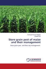 Store grain pest of maize and their management