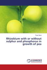 Rhizobium with or without sulphur and phosphorus in growth of pea