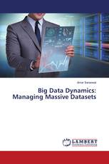 Big Data Dynamics: Managing Massive Datasets