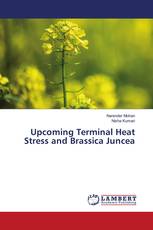 Upcoming Terminal Heat Stress and Brassica Juncea