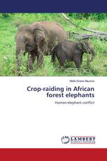 Crop-raiding in African forest elephants