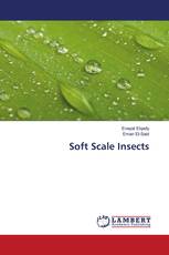 Soft Scale Insects