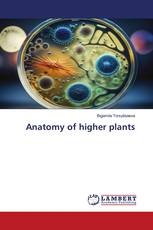 Anatomy of higher plants