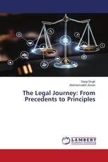 The Legal Journey: From Precedents to Principles