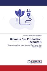 Biomass Gas Production Technicals