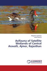 Avifauna of Satellite Wetlands of Central Aravalli, Ajmer, Rajasthan