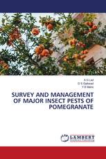 SURVEY AND MANAGEMENT OF MAJOR INSECT PESTS OF POMEGRANATE