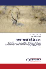 Antelopes of Sudan