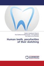 Human teeth, peculiarities of their sketching