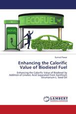 Enhancing the Calorific Value of Biodiesel Fuel