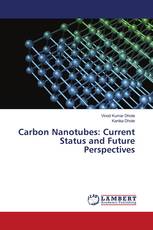 Carbon Nanotubes: Current Status and Future Perspectives