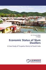 Economic Status of Slum Dwellers