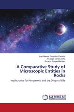 A Comparative Study of Microscopic Entities in Rocks