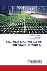 REAL TIME MONITORING OF SOIL STABILITY WITH AI