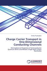 Charge Carrier Transport in One-Dimensional Conducting Channels