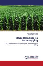 Maize Response To Waterlogging