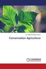 Conservation Agriculture