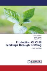 Production Of Chilli Seedlings Through Grafting