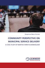 COMMUNITY PERSPECTIVE ON MUNICIPAL SERVICE DELIVERY
