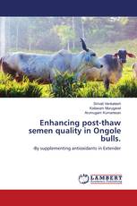 Enhancing post-thaw semen quality in Ongole bulls.